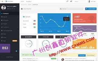 双轨直销管理软件与报单中心结算系统的开发成本分析