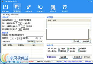 飞来YY营销软件界面预览与开发进展